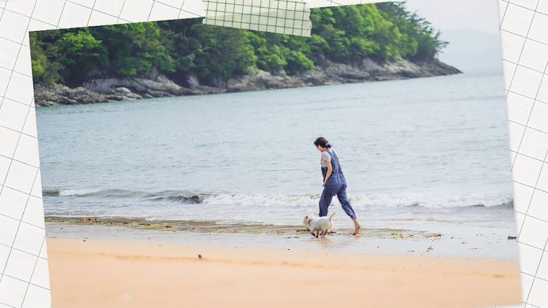 Gallery image from A5PKXRPIJFfVgDMLceB8XwDuTFF.jpg