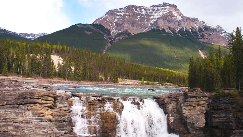 Wild Rockies