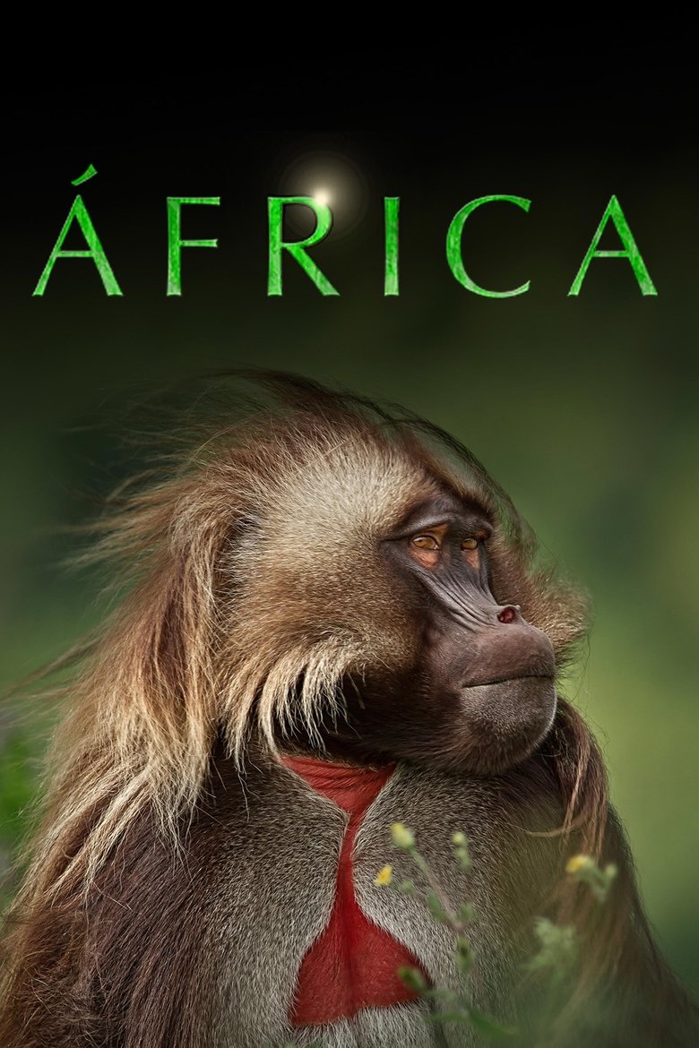 Africa 2013 (2013)