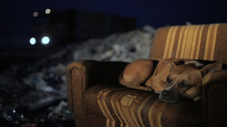 Image d'arrière-plan 8 du film Призори из живота џукца