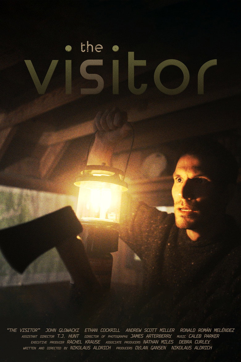 Imatge de The Visitor
