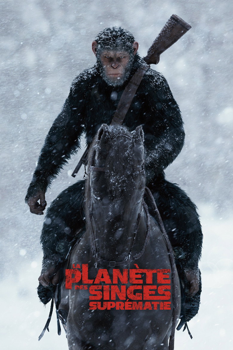 Póster la Película