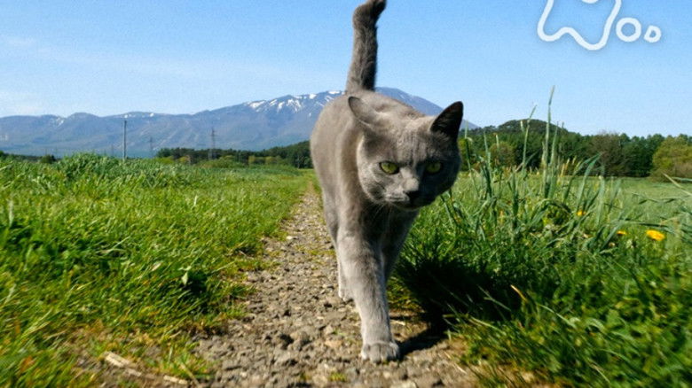 Still image for Mitsuaki Iwago's World “Cats” Travelogue season 1 episode 97: Iwate Still image for Mitsuaki Iwago's World “Cats” Travelogue season 1 episode 97: Iwate