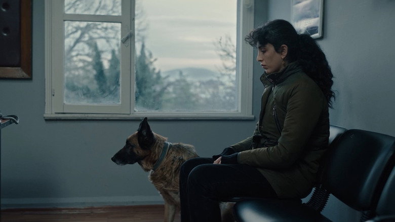 Image d'arrière-plan 5 du film Taş ve Tüy