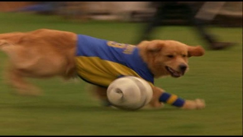 watch Air Bud 3 - World Pup now