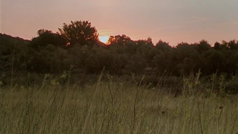 Honour of the Knights (2006)