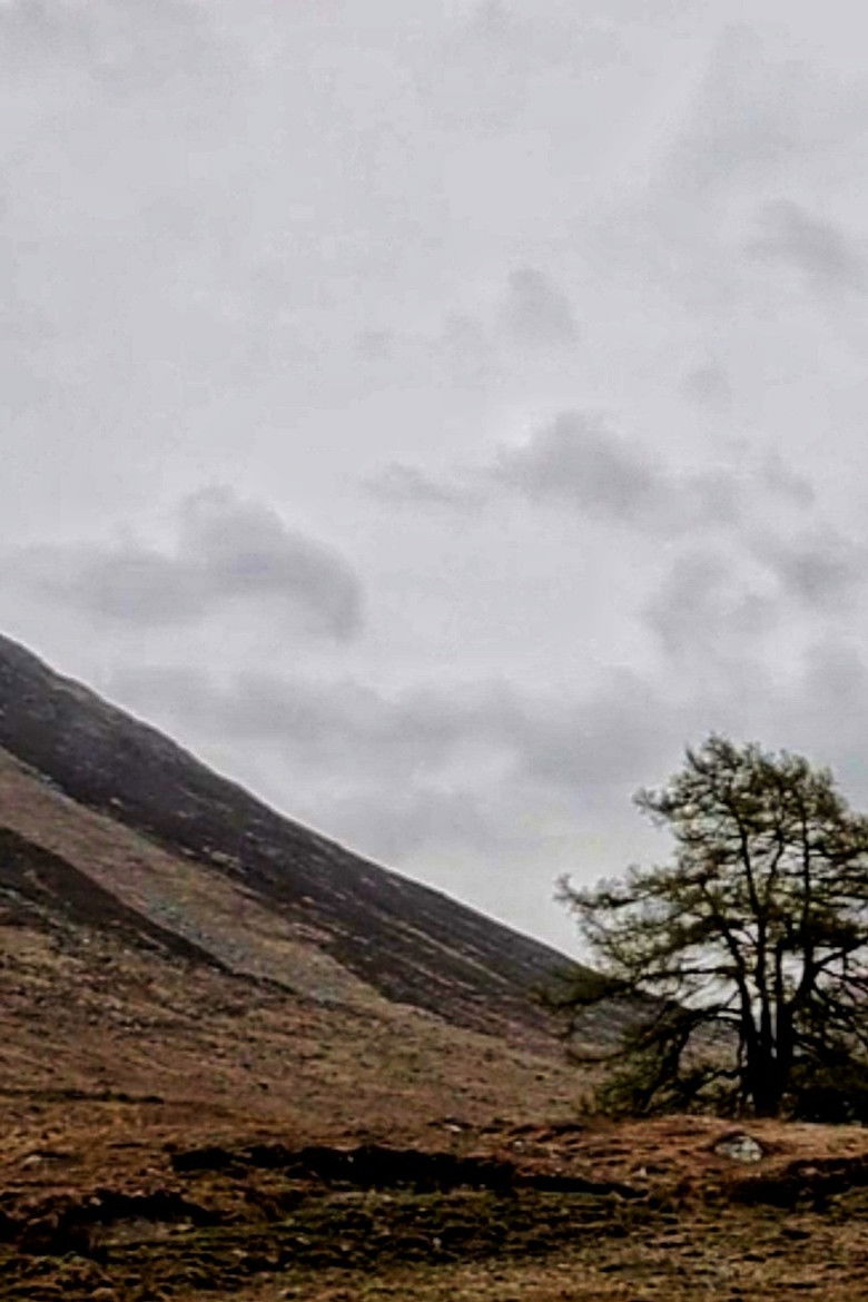 Imatge de The One Close to the Sea