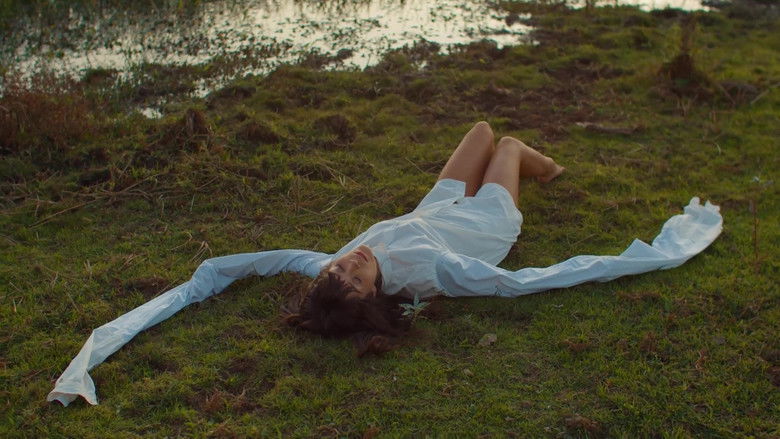 Gallery image from A9dckRuLEoRXM5BbSe9vrUMULAd.jpg