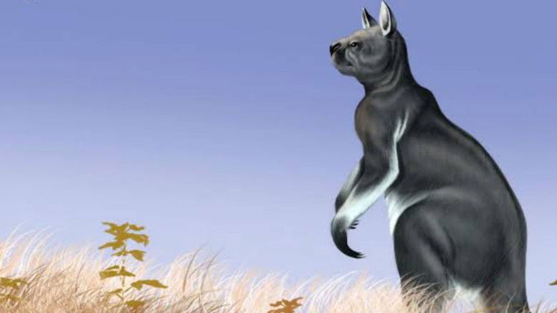 Imatge de O Poema Imperfeito