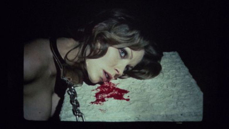 Gallery image from Aa9S8BAaecfxUsA3lE1znEqeAQC.jpg