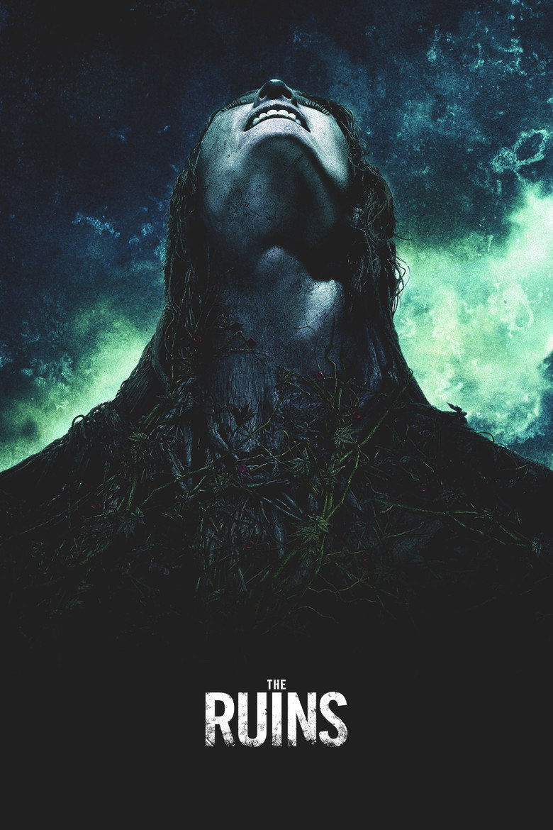 Póster la Película