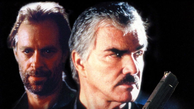 Gallery image from AaS6me0ZhKwo6CcYQ6i1evvgeVW.jpg