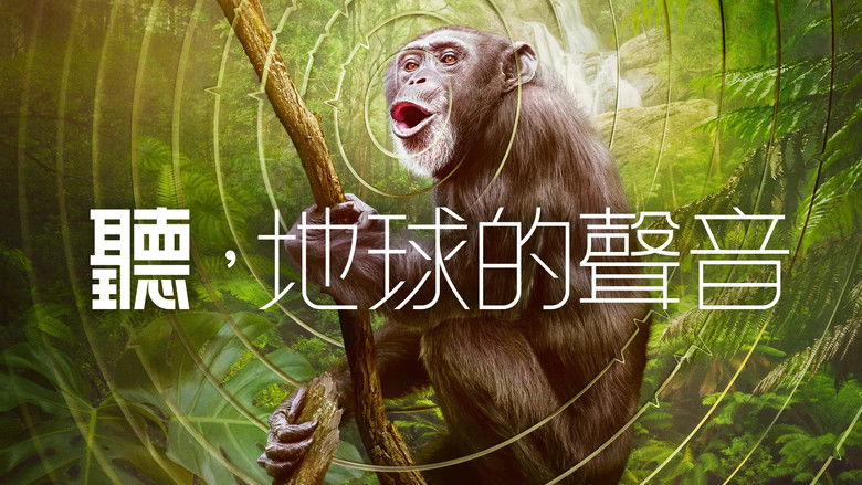 Gallery image from AakSmyjAtnDhhTwzONVqbENxM9S.jpg