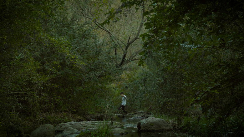 Image d'arrière-plan 5 du film REM