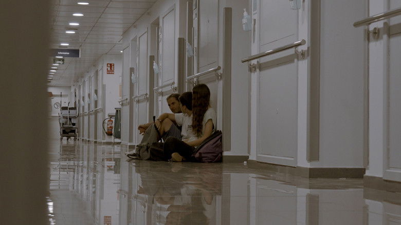 Imatge de Una Flor Senzilla