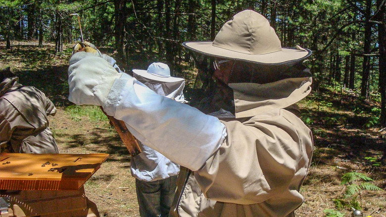 S11E10 – Beekeeping. Trikes. Body Armour