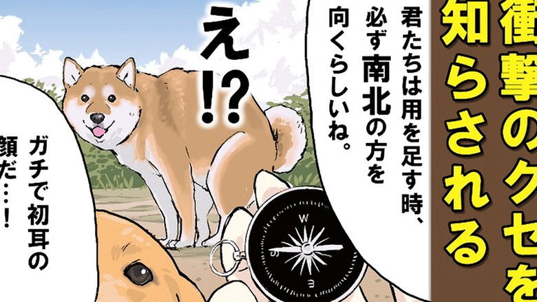 Still image for Doomsday with My Dog season 1 episode 44: Weight Measurement / Intentional, Unintentional Still image for Doomsday with My Dog season 1 episode 44: Weight Measurement / Intentional, Unintentional