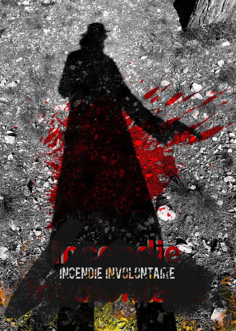 Imatge de Incendie Involontaire