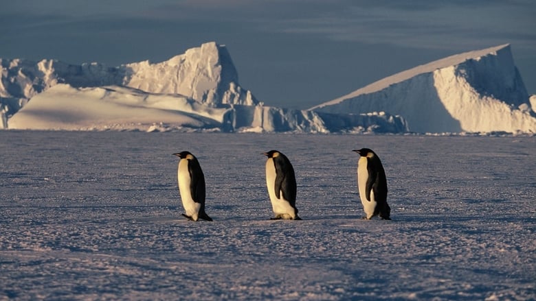 March of the Penguins (2005)