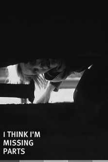I Think I'm Missing Parts (2007)