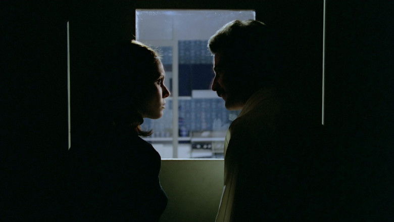 Image d'arrière-plan 6 du film La criatura