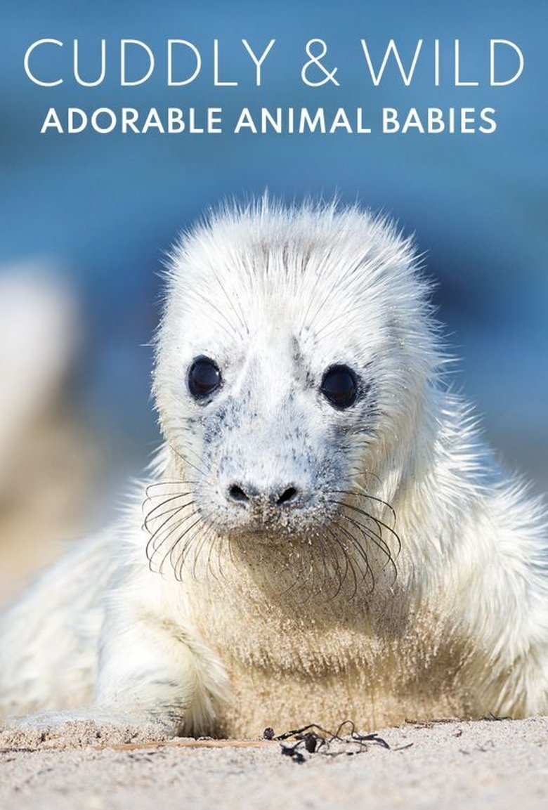 Cuddly & Wild: adorable animal babies poster