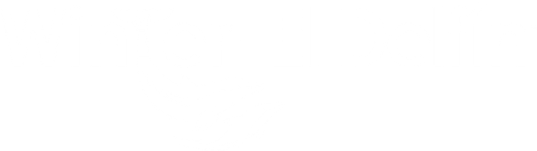 Imagen de Winter - El delfín