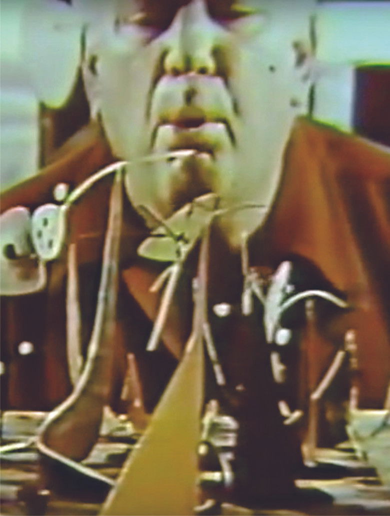 Imatge de From the Circus to the Moon