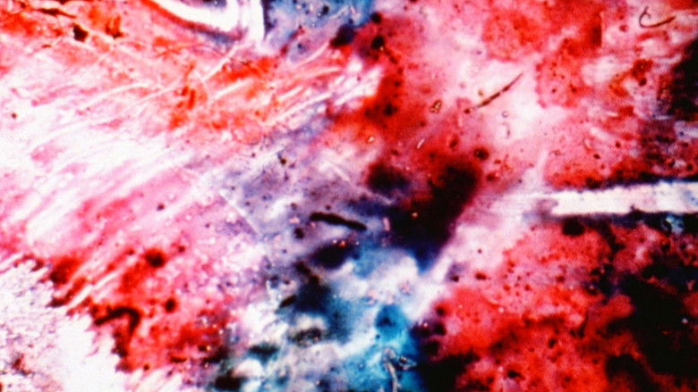 Gallery image from AfmdxYwnU2xJNspyIqYw0Drv9v8.jpg