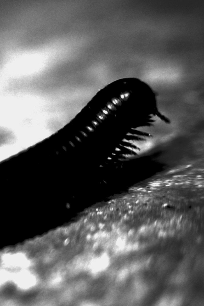 Imatge de The Tragedy of Professor Samsa or: How Gregor Learned to Relax and Drink his Milk