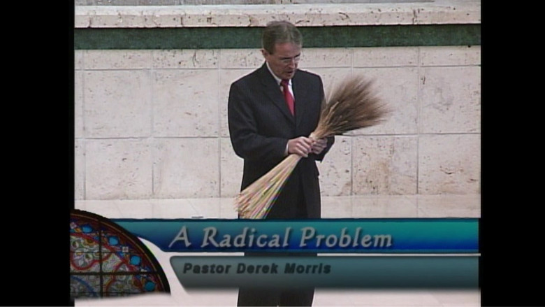 Radical Problem