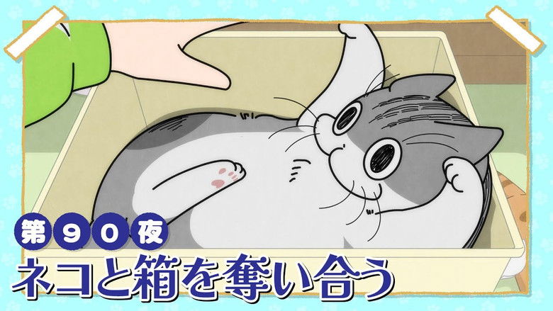 Still image for Nights with a Cat season 1 episode 90: Night 90: Battling a Cat for a Box