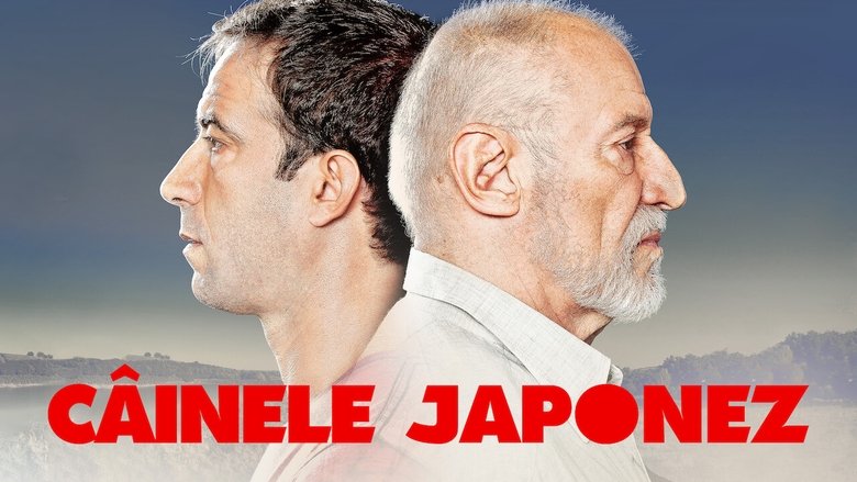 Gallery image from AhVgaEoi5MbSaSHTxIi8AVMsJhI.jpg