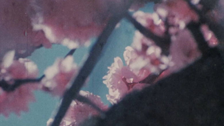 Gallery image from Ahf3rEWN1ZXLmH9R8mFMQNhLrau.jpg