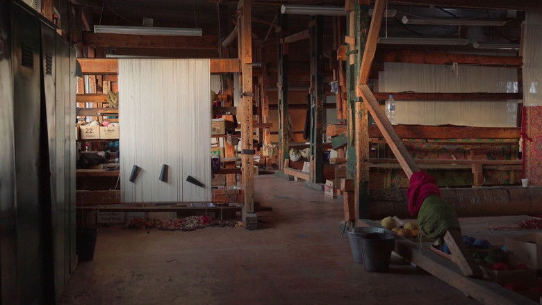 Gallery image from AhiCCr36qpsVE1usfNlvBghuTGr.jpg