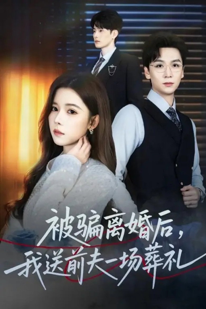 被骗离婚后，我送前夫一场葬礼 — image 1