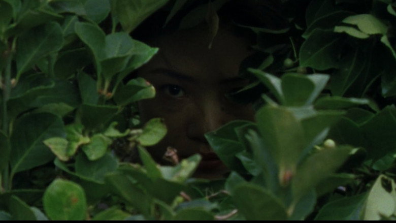 Still from The Revenge: A Visit from Fate