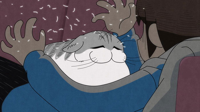Still image for Nights with a Cat season 1 episode 20: Night 20: Shedding Season
