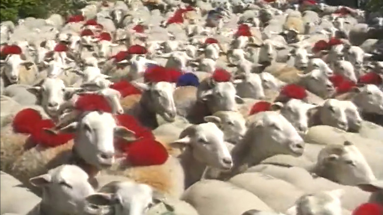 Imatge de Berger et après