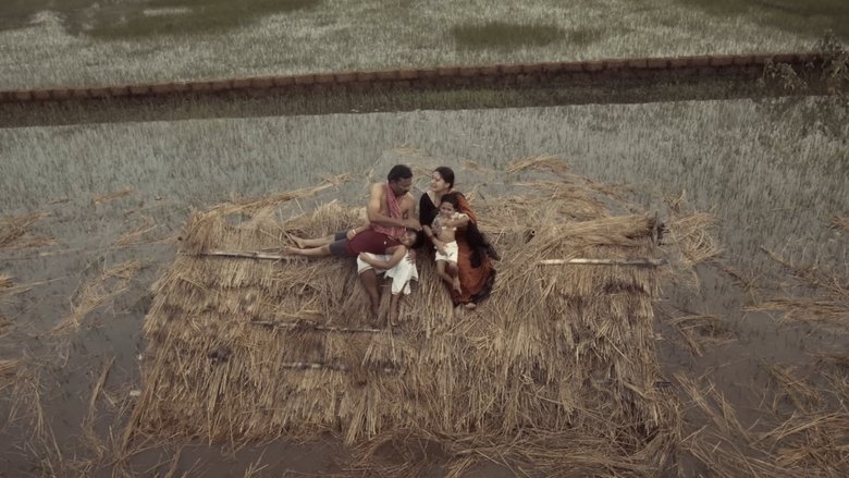 Gallery image from AkQxvYiLt43UpspqwT6yAPF3x5L.jpg