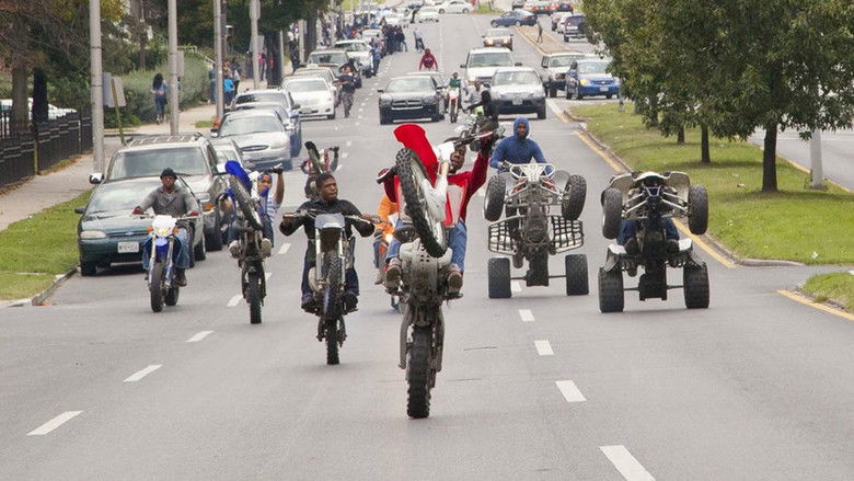 Gallery image from AkjlOm0XJ28lYQSnImbw9DVOYIt.jpg