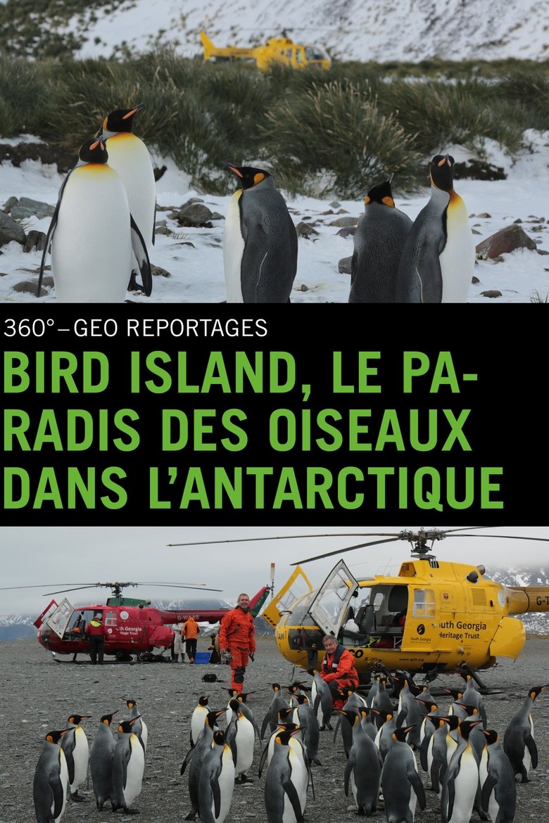 Bird Island - Allein unter Pinguinen main poster