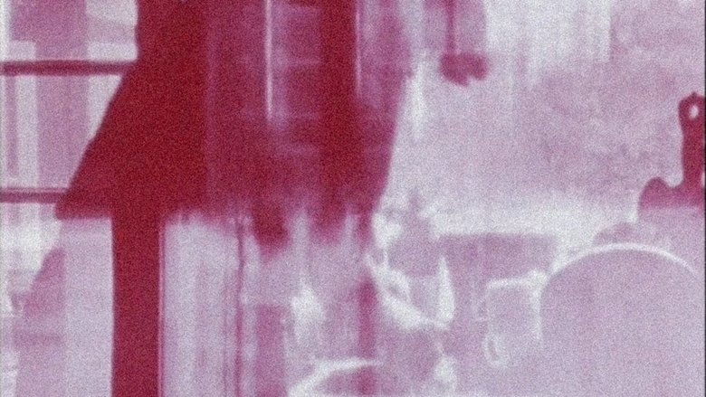 Gallery image from AmBZWxLdqIzEhspk86yak4r2I7X.jpg