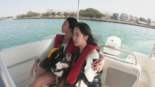 Still image for 台灣萌萌的 season 1 episode 8: Episode 8