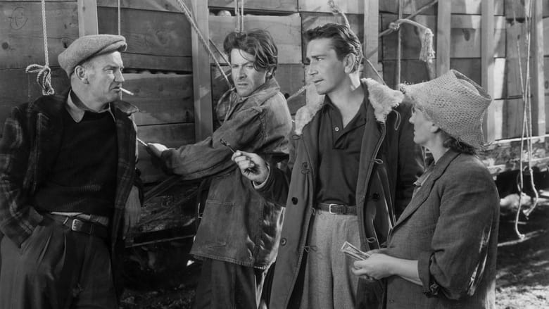 Thieves' Highway (1949)