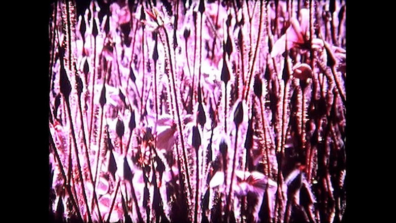 Gallery image from Amu5rwtqvnGhttOfrNtAVgYdW65.jpg