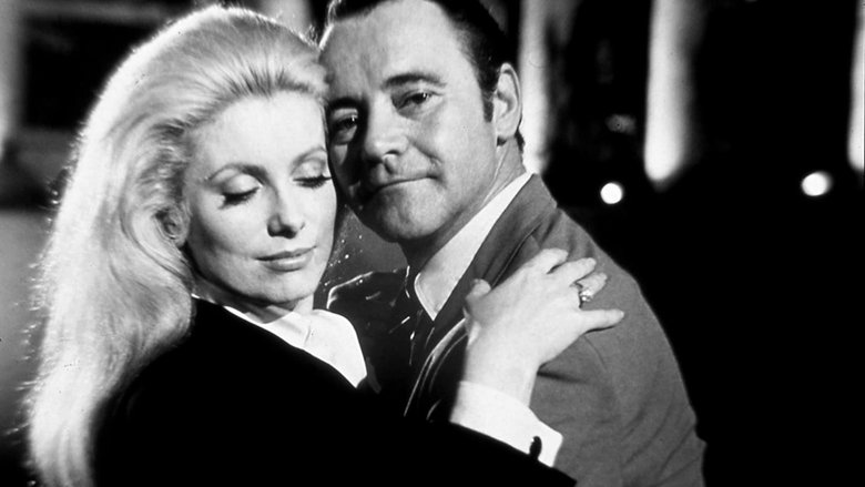 Gallery image from AnHD4SlrfriQUkWR2xgnynJEXYR.jpg