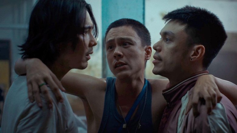 Timeless Reactions (2025)