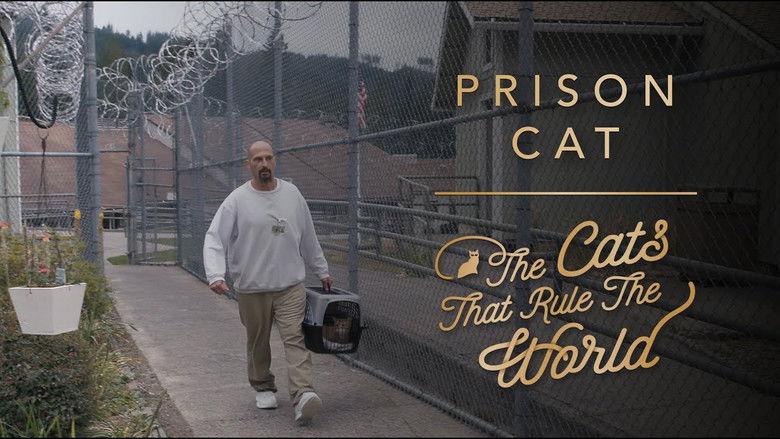 Prison Cat, Galileo