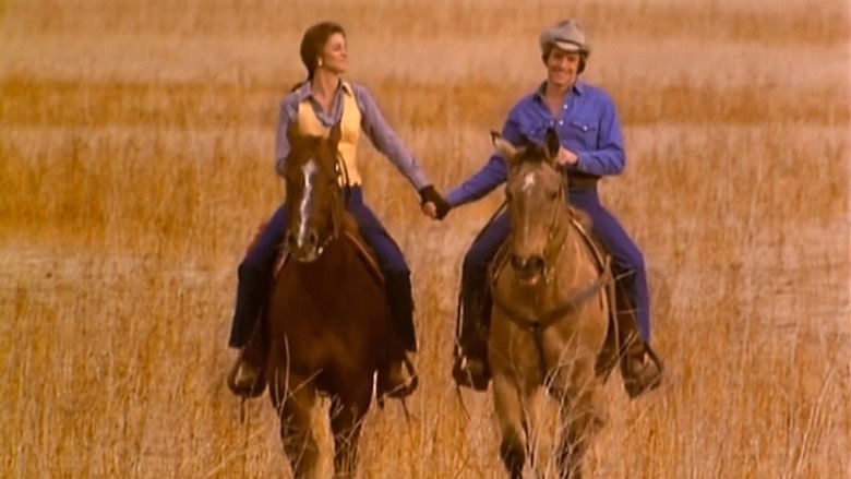 Image d'arrière-plan 1 du film Callie & Son